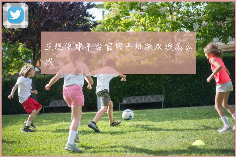 正规滚球平台官网手机版欢迎怎么找