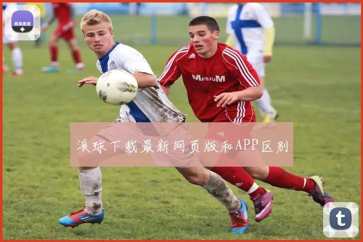滚球下载最新网页版和APP区别